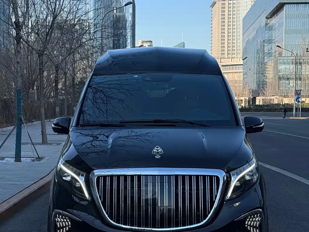 Mercedes-Benz V-Class 2024 из CN, фото 9