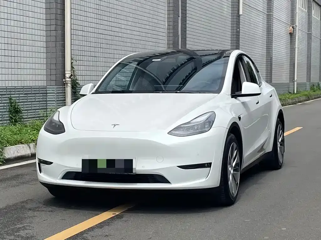 Tesla Model Y 2022 из CN, фото 1