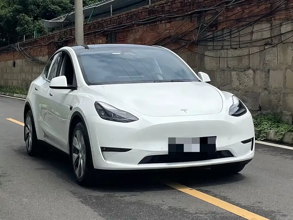 Tesla Model Y 2022 из CN, фото 3