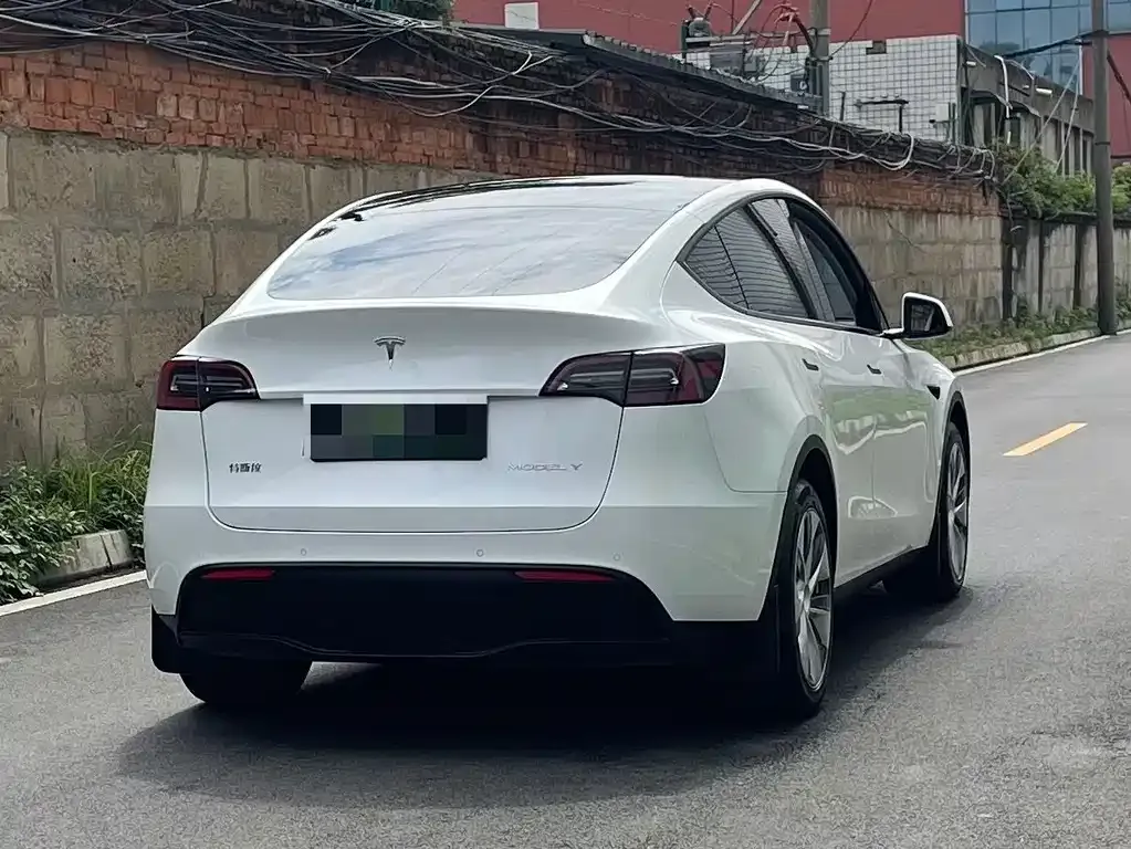 Tesla Model Y 2022 из CN, фото 6