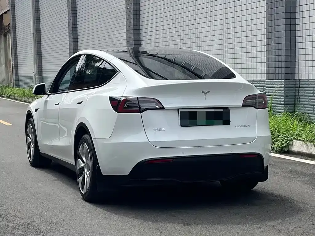 Tesla Model Y 2022 из CN, фото 8