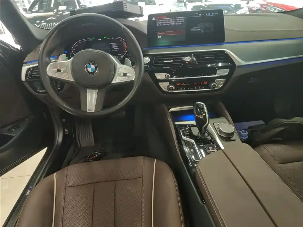 BMW 5 Series 2023 из CN, фото 8