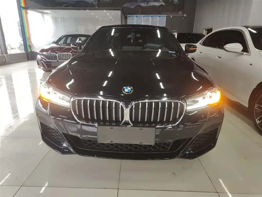 BMW 5 Series 2023 из CN, фото 9