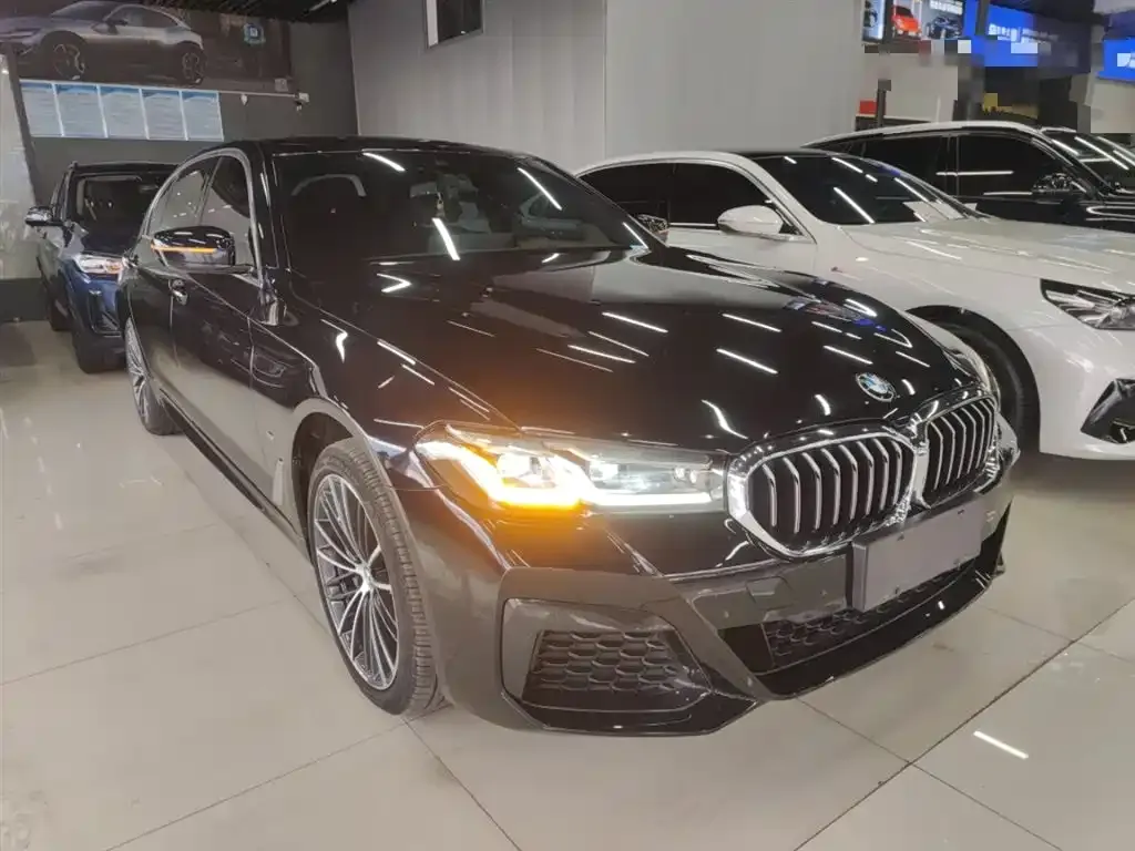 BMW 5 Series 2023 из CN, фото 10