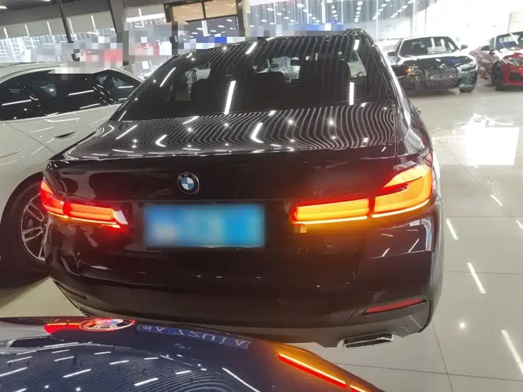 BMW 5 Series 2023 из CN, фото 5
