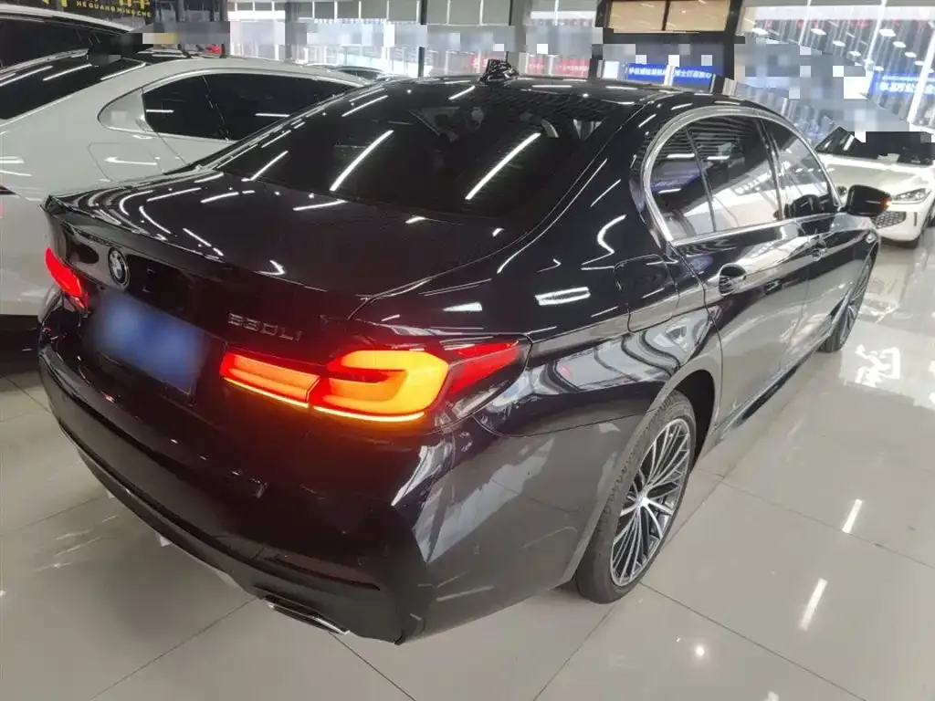 BMW 5 Series 2023 из CN, фото 4