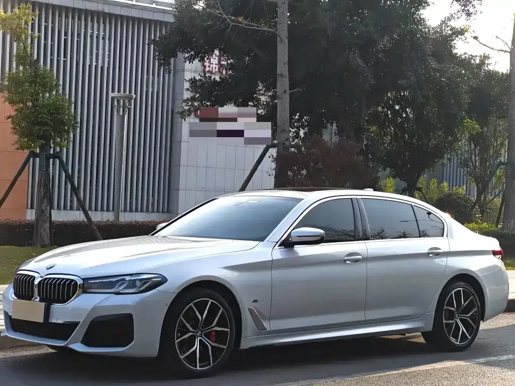 BMW 5 Series 2022 из CN, фото 1
