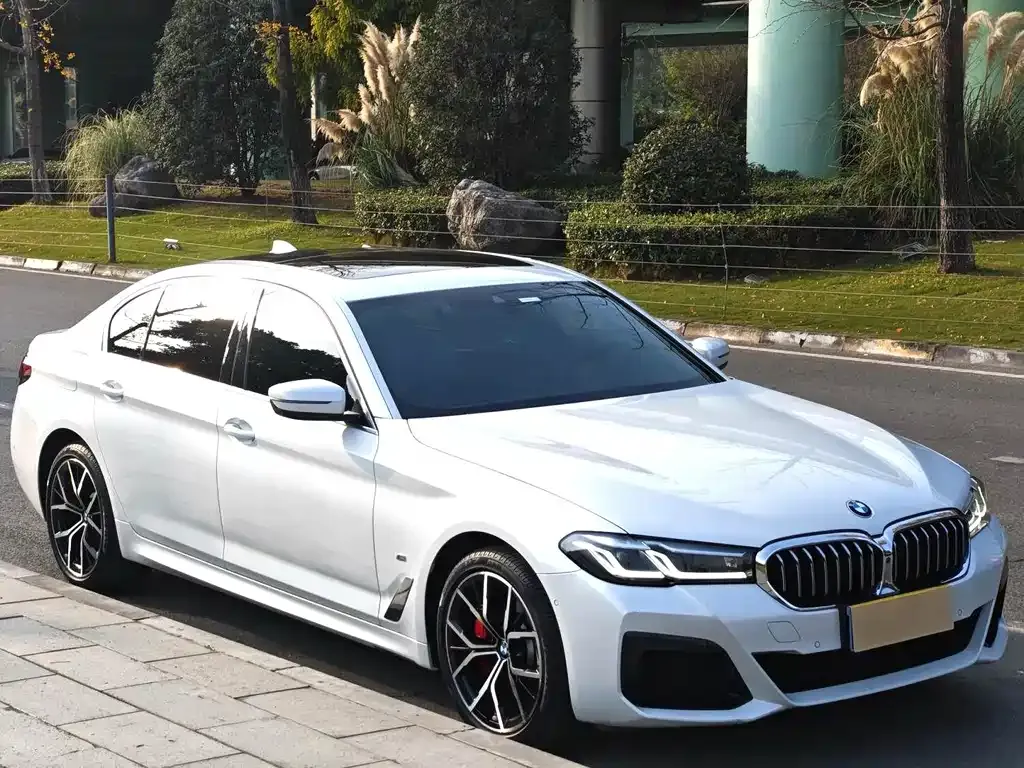 BMW 5 Series 2022 из CN, фото 10