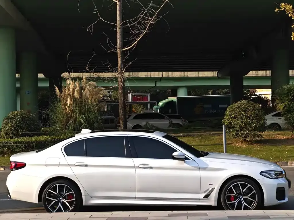 BMW 5 Series 2022 из CN, фото 9
