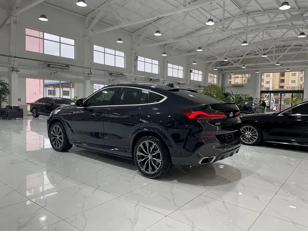 BMW X6 2021 из CN, фото 3