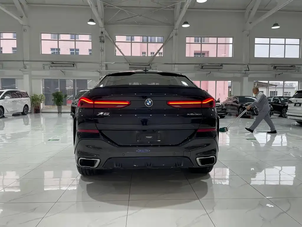 BMW X6 2021 из CN, фото 4