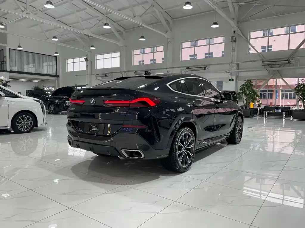 BMW X6 2021 из CN, фото 9