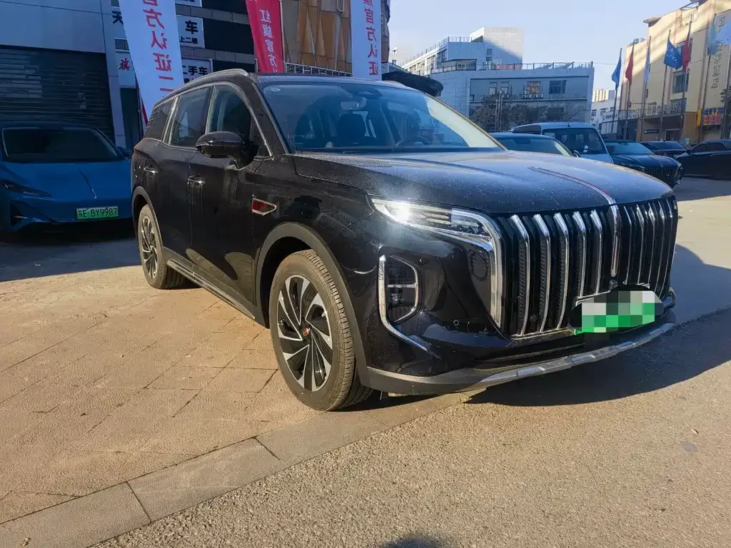 Hongqi HS7 PHEV 2025 из CN, фото 10