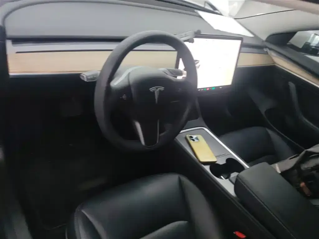 Tesla Model 3 2021 из CN, фото 10