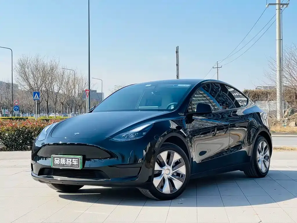 Tesla Model Y 2023 из CN, фото 1