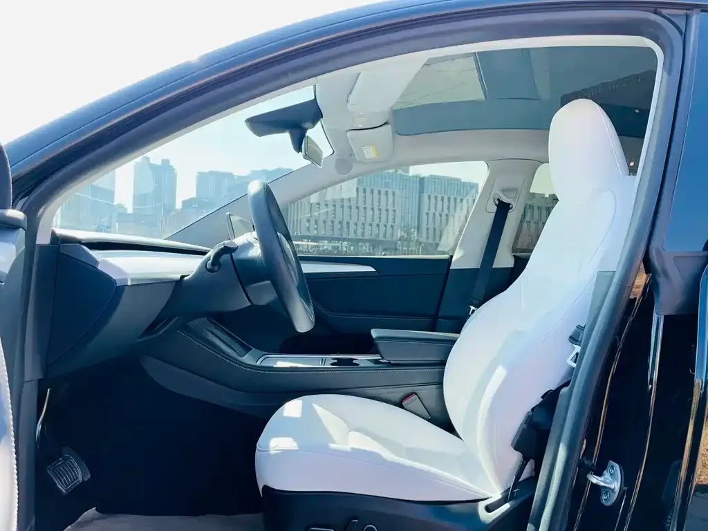 Tesla Model Y 2023 из CN, фото 9