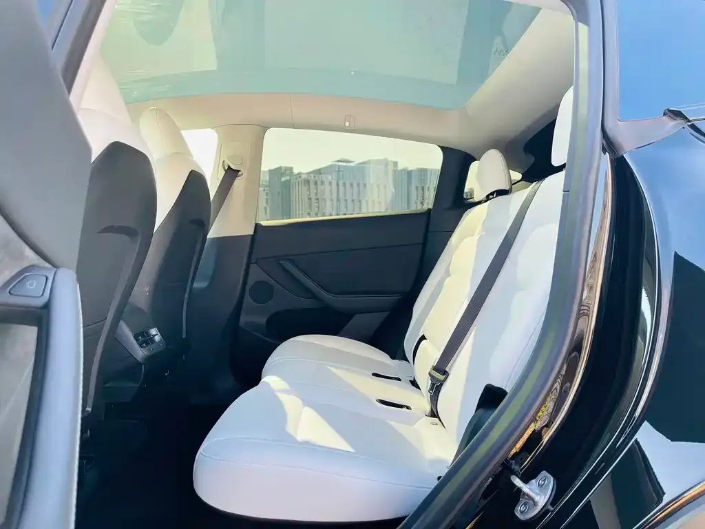Tesla Model Y 2023 из CN, фото 3
