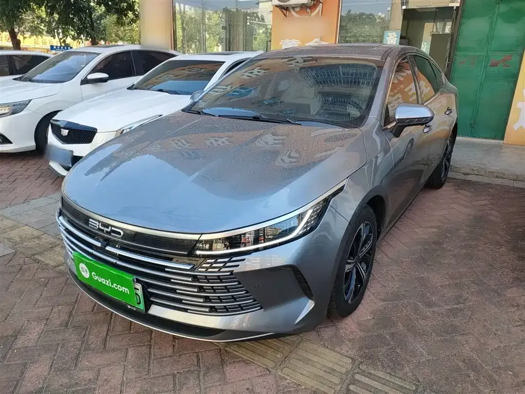 BYD Destroyer 05 2023 из CN, фото 2