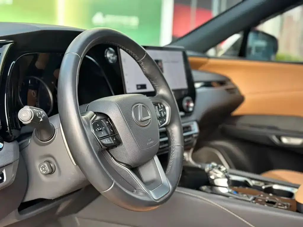 Lexus RX 2024 из CN, фото 8