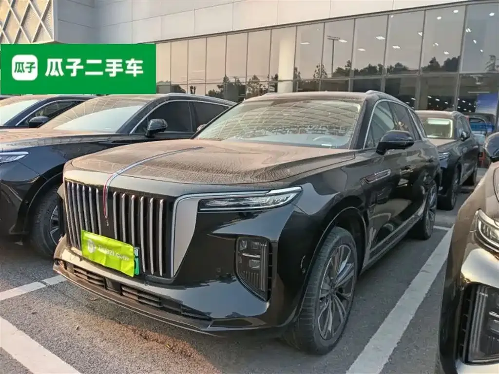Hongqi E-HS9 2023 из CN, фото 7