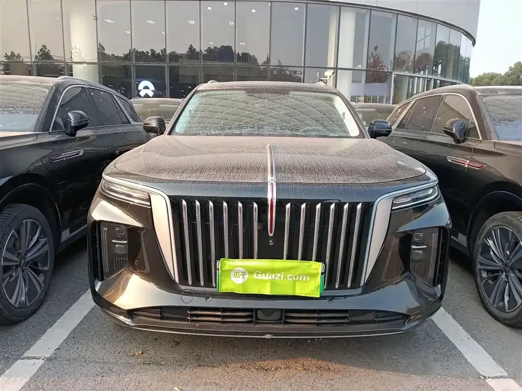 Hongqi E-HS9 2023 из CN, фото 10