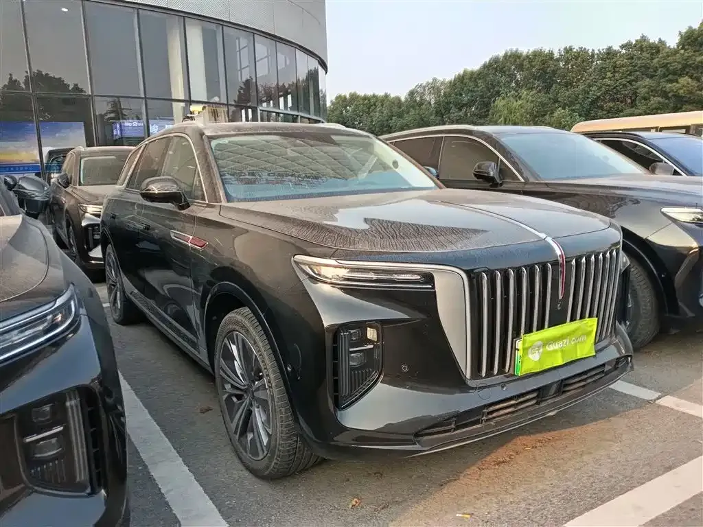 Hongqi E-HS9 2023 из CN, фото 9