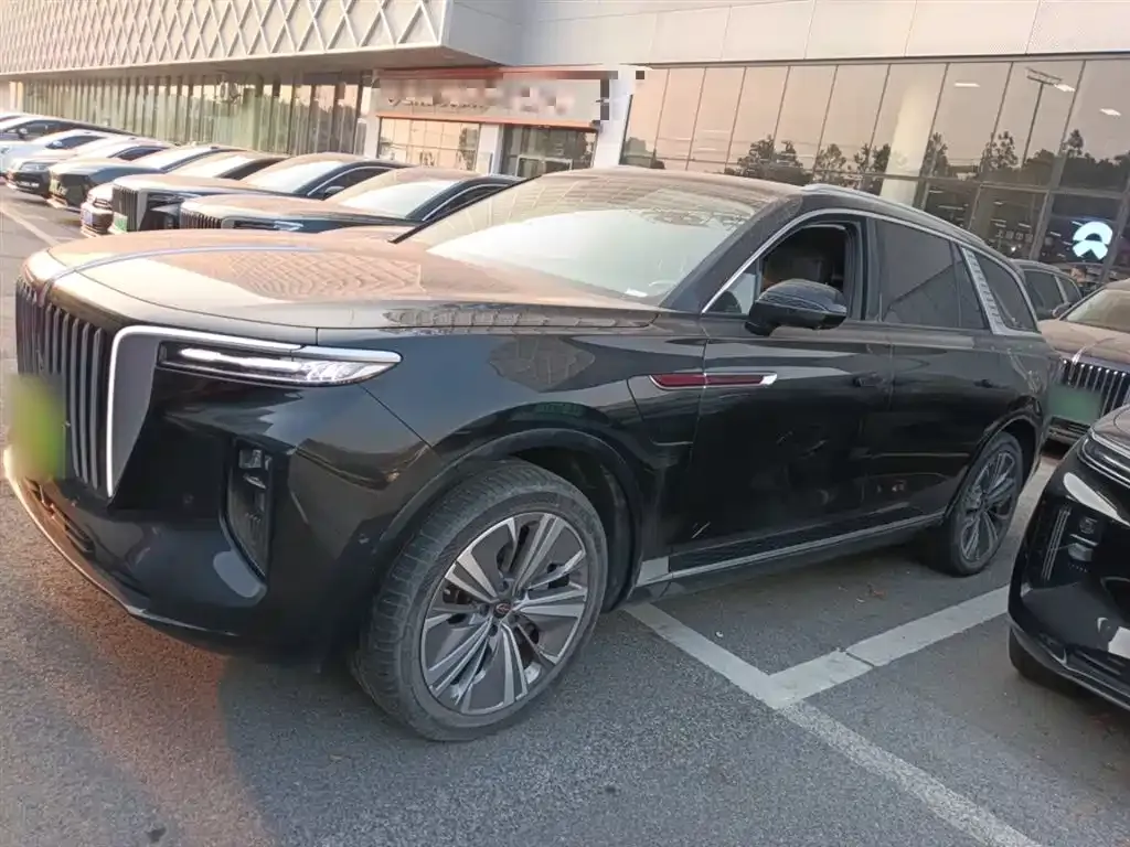 Hongqi E-HS9 2023 из CN, фото 4