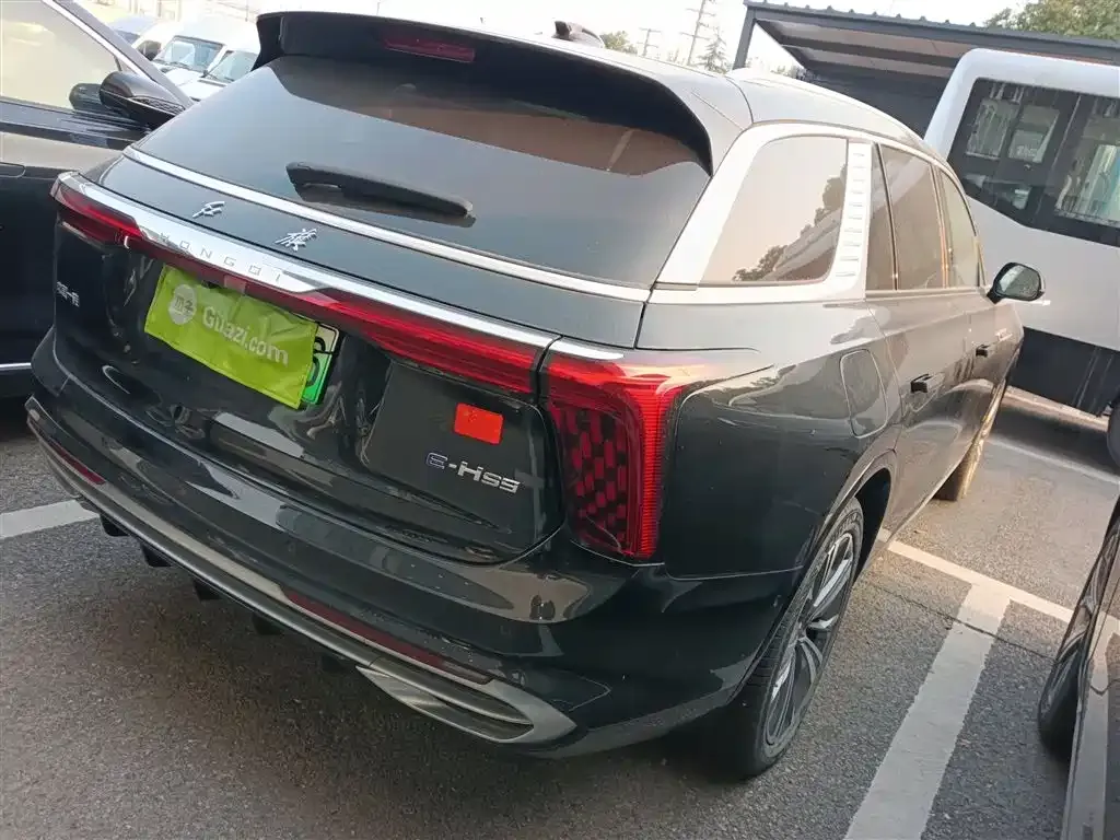 Hongqi E-HS9 2023 из CN, фото 3