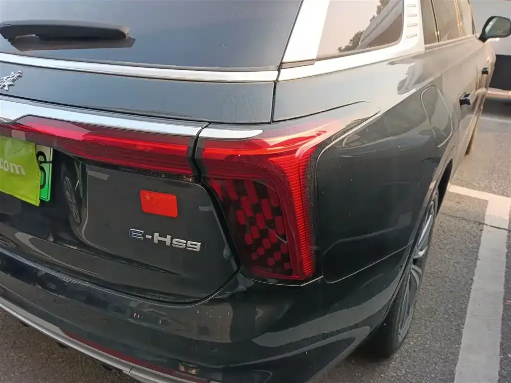 Hongqi E-HS9 2023 из CN, фото 6