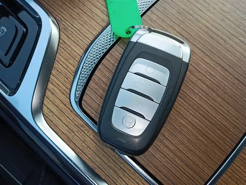 Hongqi E-HS9 2023 из CN, фото 8