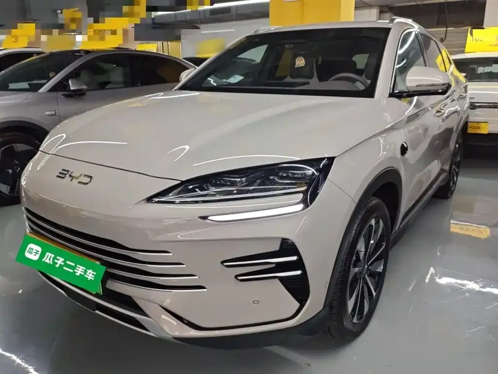 BYD PLUS New Energy 2025 из CN, фото 1