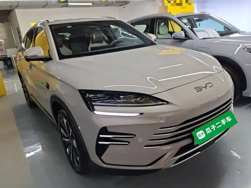 BYD PLUS New Energy 2025 из CN, фото 6