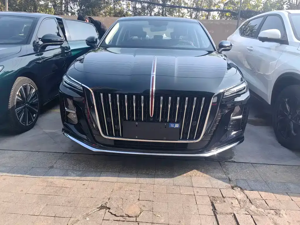 Hongqi H5 2024 из CN, фото 1