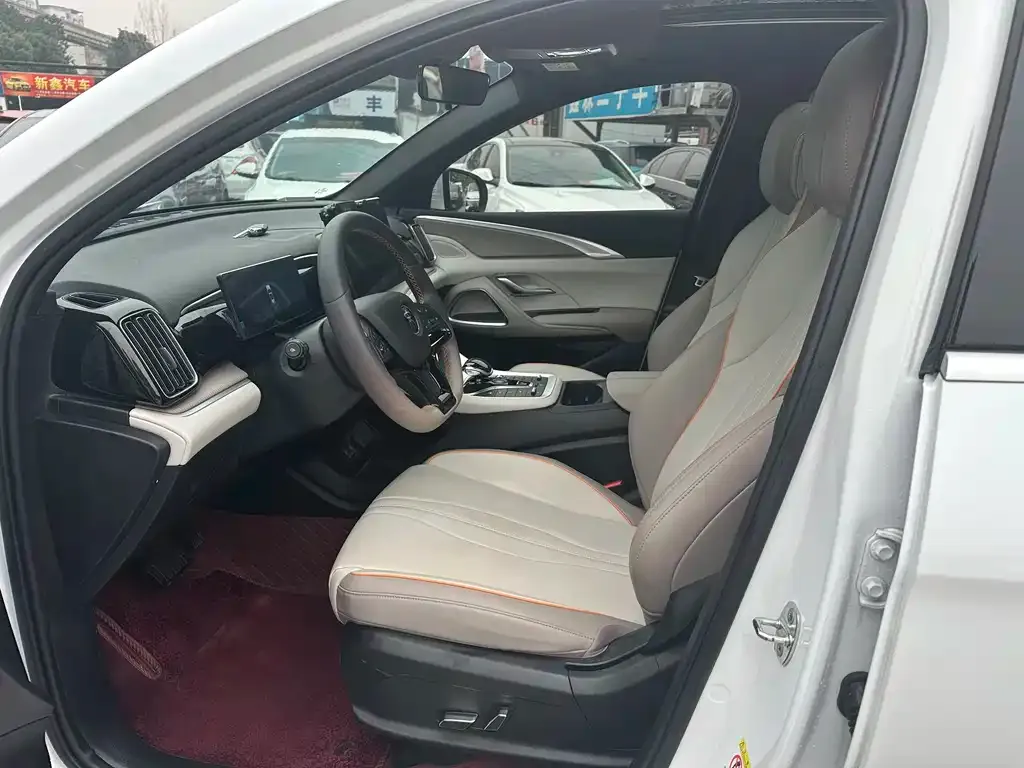 BYD Pro New Energy 2024 из CN, фото 10