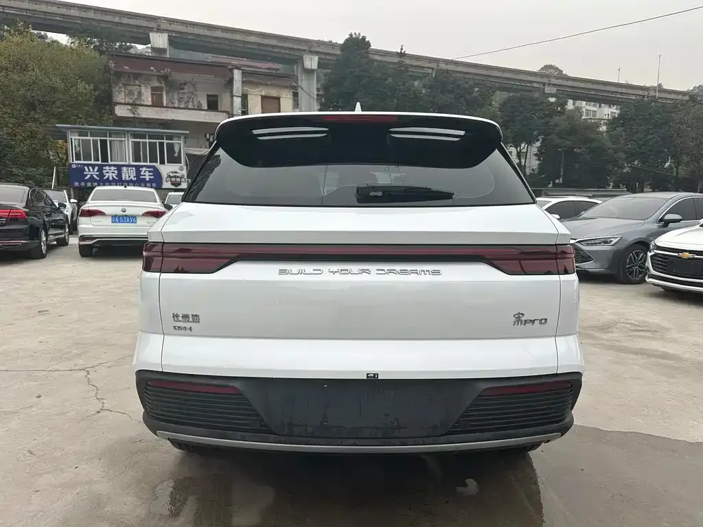 BYD Pro New Energy 2024 из CN, фото 4