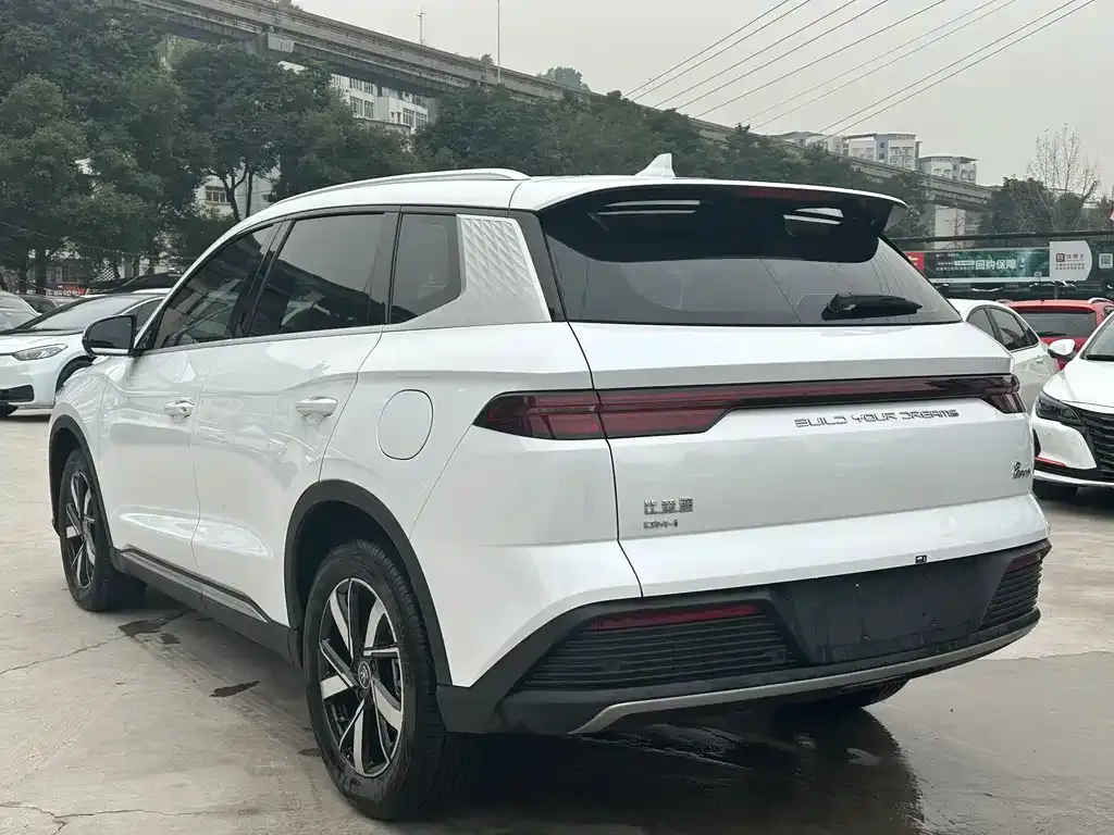 BYD Pro New Energy 2024 из CN, фото 6