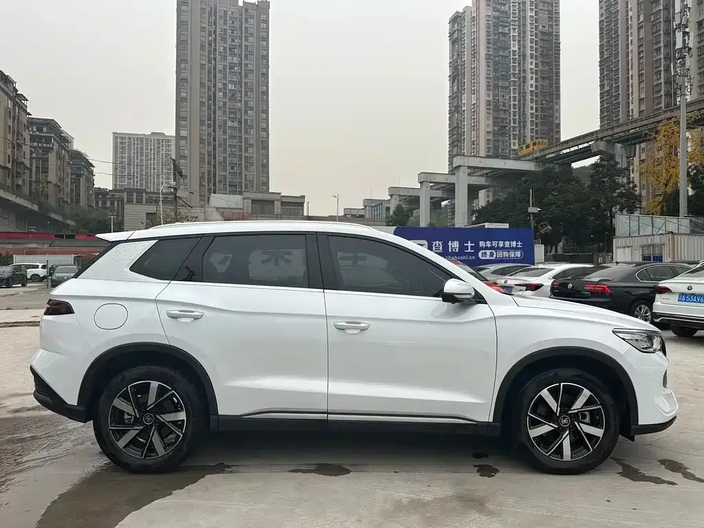 BYD Pro New Energy 2024 из CN, фото 7