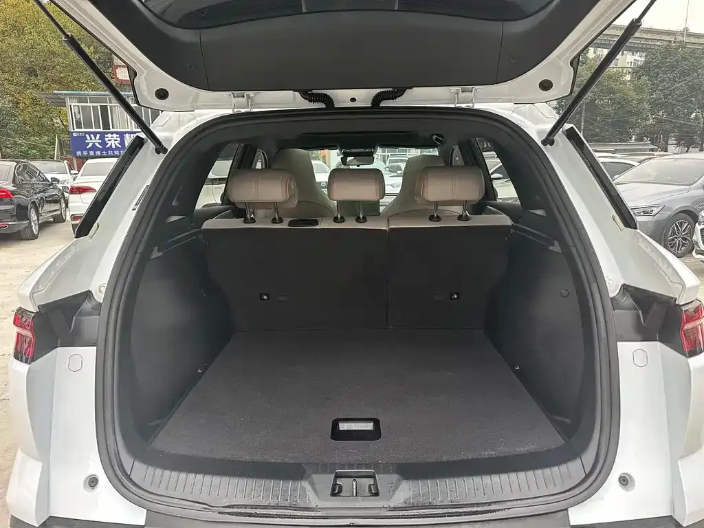 BYD Pro New Energy 2024 из CN, фото 8