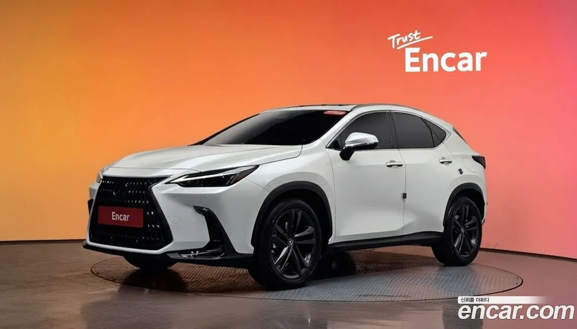 Lexus NX 2025 из KR, фото 1