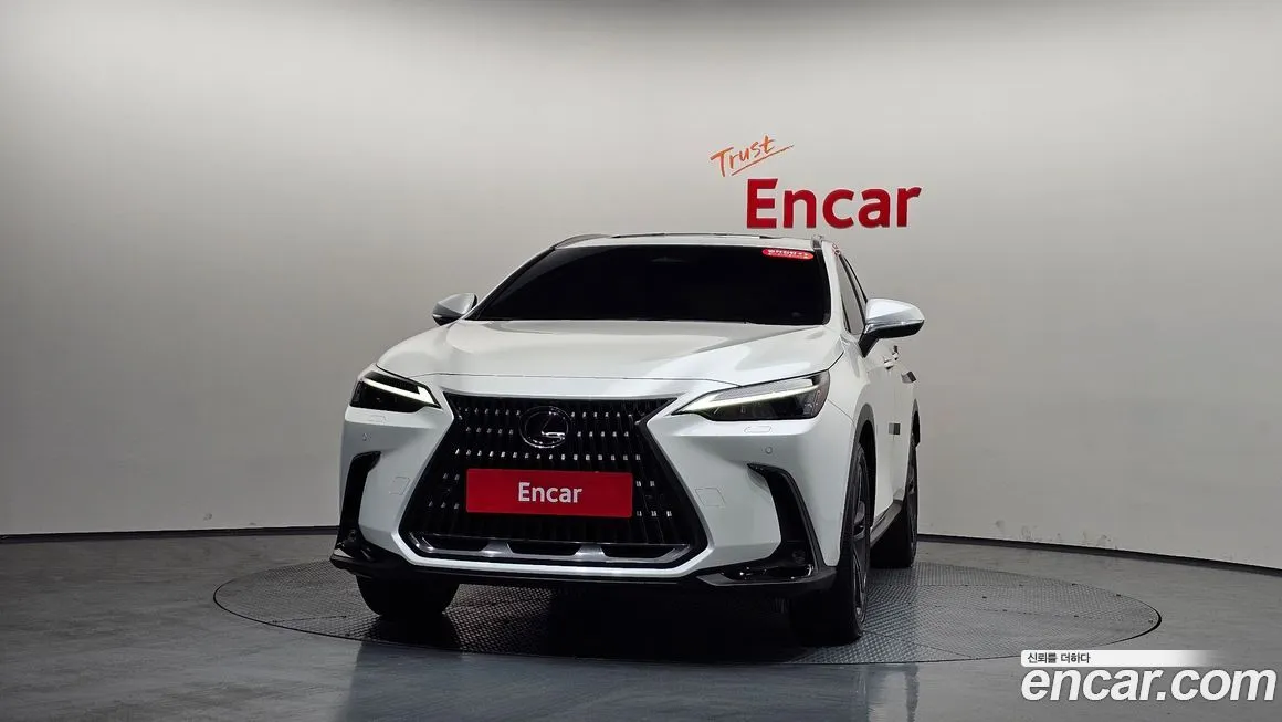 Lexus NX 2025 из KR, фото 4