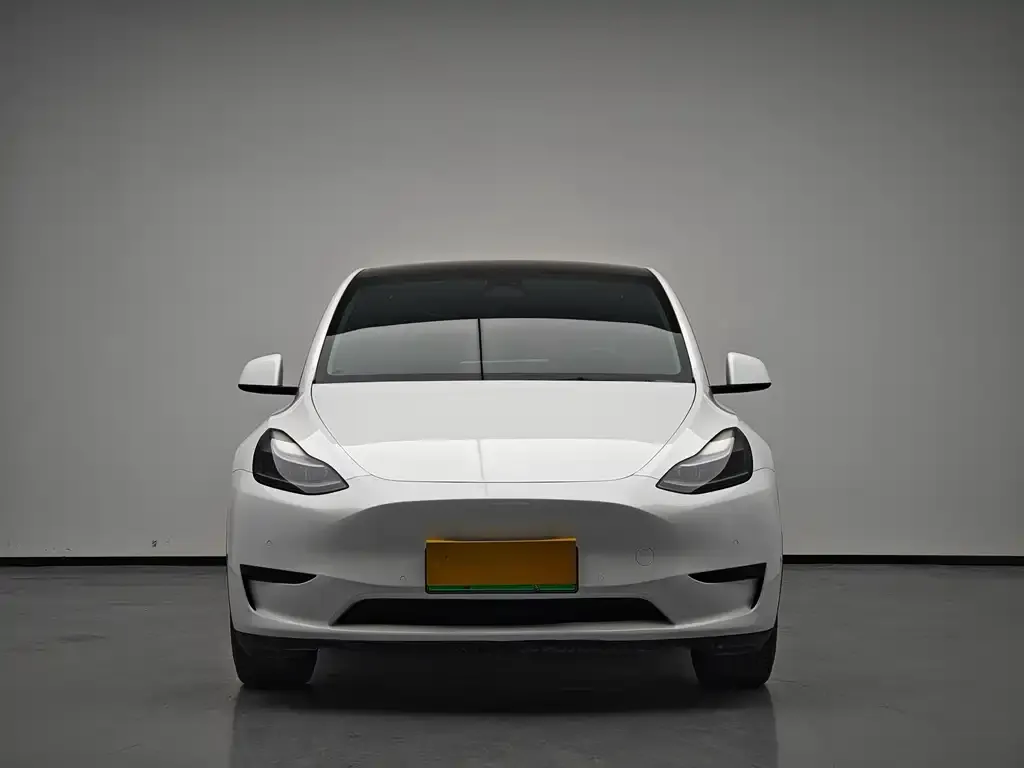 Tesla Model Y 2023 из CN, фото 3