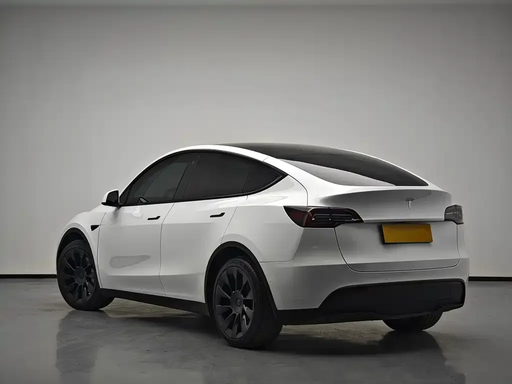 Tesla Model Y 2023 из CN, фото 7