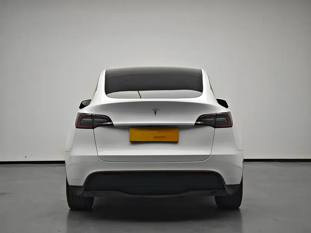Tesla Model Y 2023 из CN, фото 5