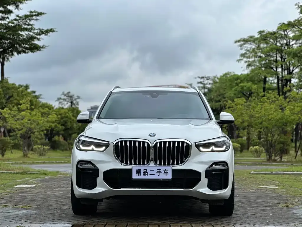 BMW X5 (Import) — фото 6