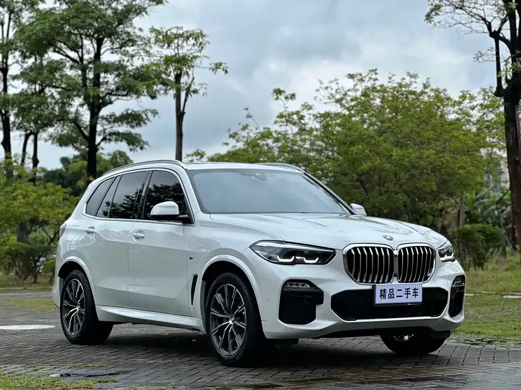 BMW X5 (Import) — фото 10