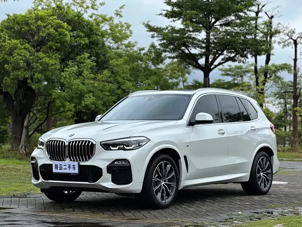 BMW X5 (Import) — фото 7