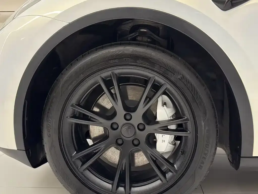 Tesla Model Y 2024 из CN, фото 9