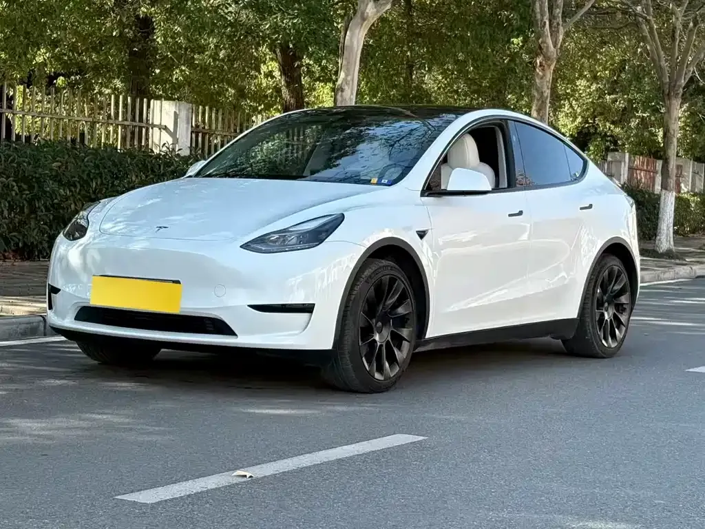Tesla Model Y 2024 из CN, фото 1
