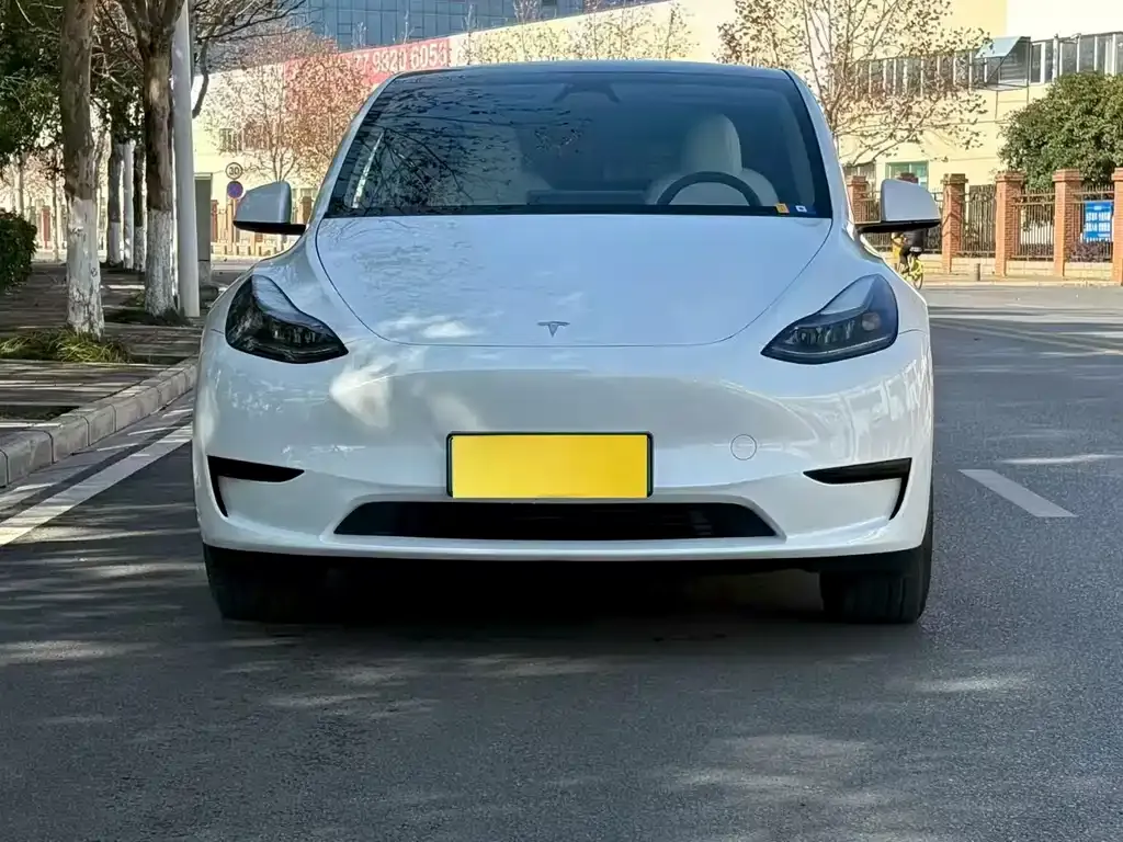 Tesla Model Y 2024 из CN, фото 6