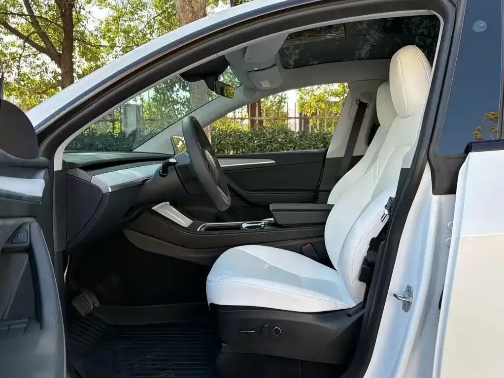 Tesla Model Y 2024 из CN, фото 5